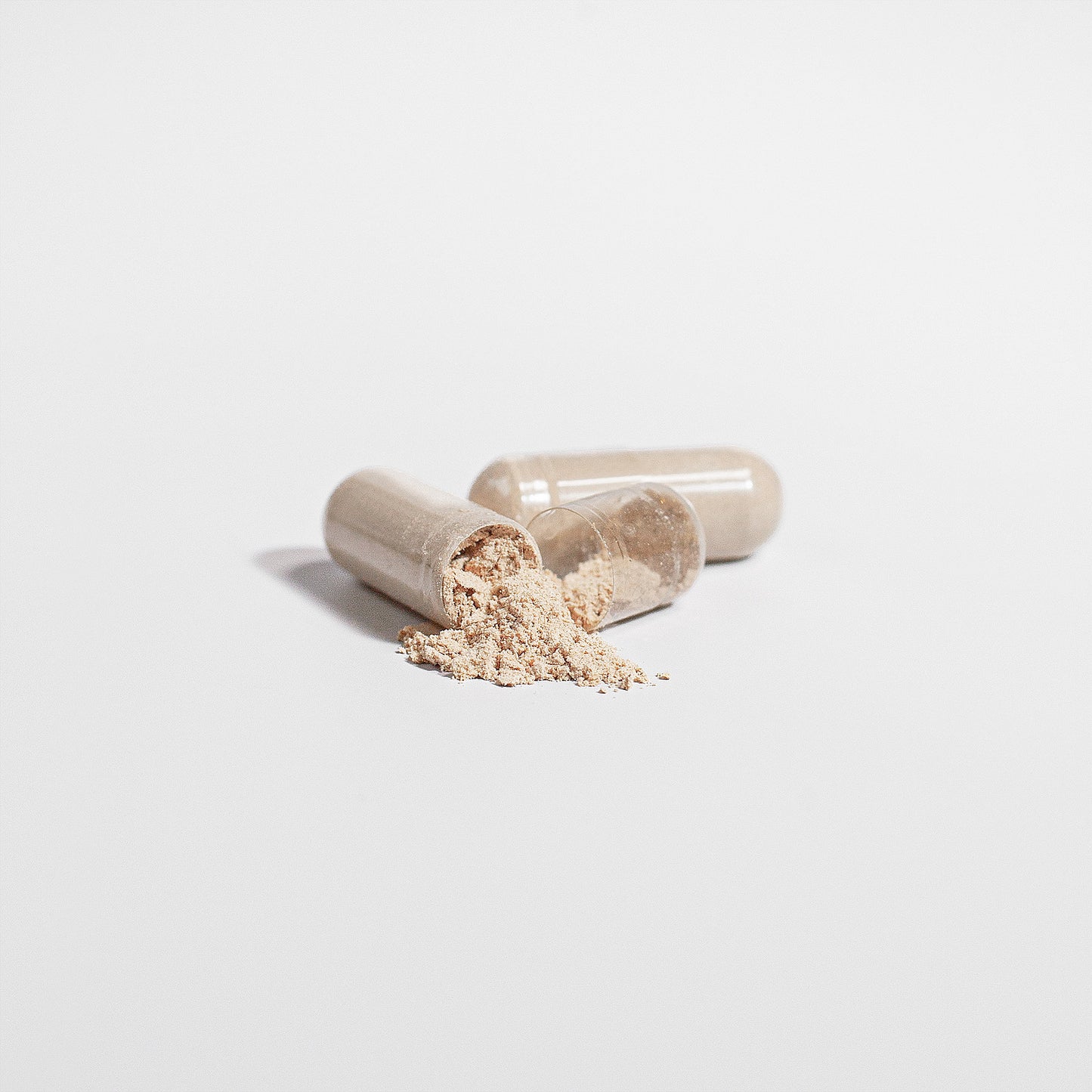 Lion's Mane- Memory, Focus & Brain Health